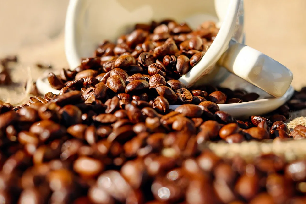 Fresh coffee beans are what makes good coffee