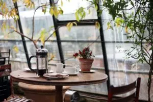 chemex vs french press